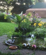<h5>Backyard entertaining</h5><p>Penny's pond looks like a favorite for ducks!</p>