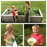 <h5>Vegetable Gardens</h5><p>Nathan's family and their summer crop!</p>