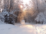 <h5>Going Natural Winner - Enter My Winter Wonderland</h5>