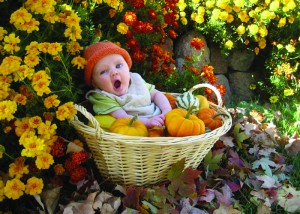 2012 Winner in the Going Together Category by Jennifer Bourn