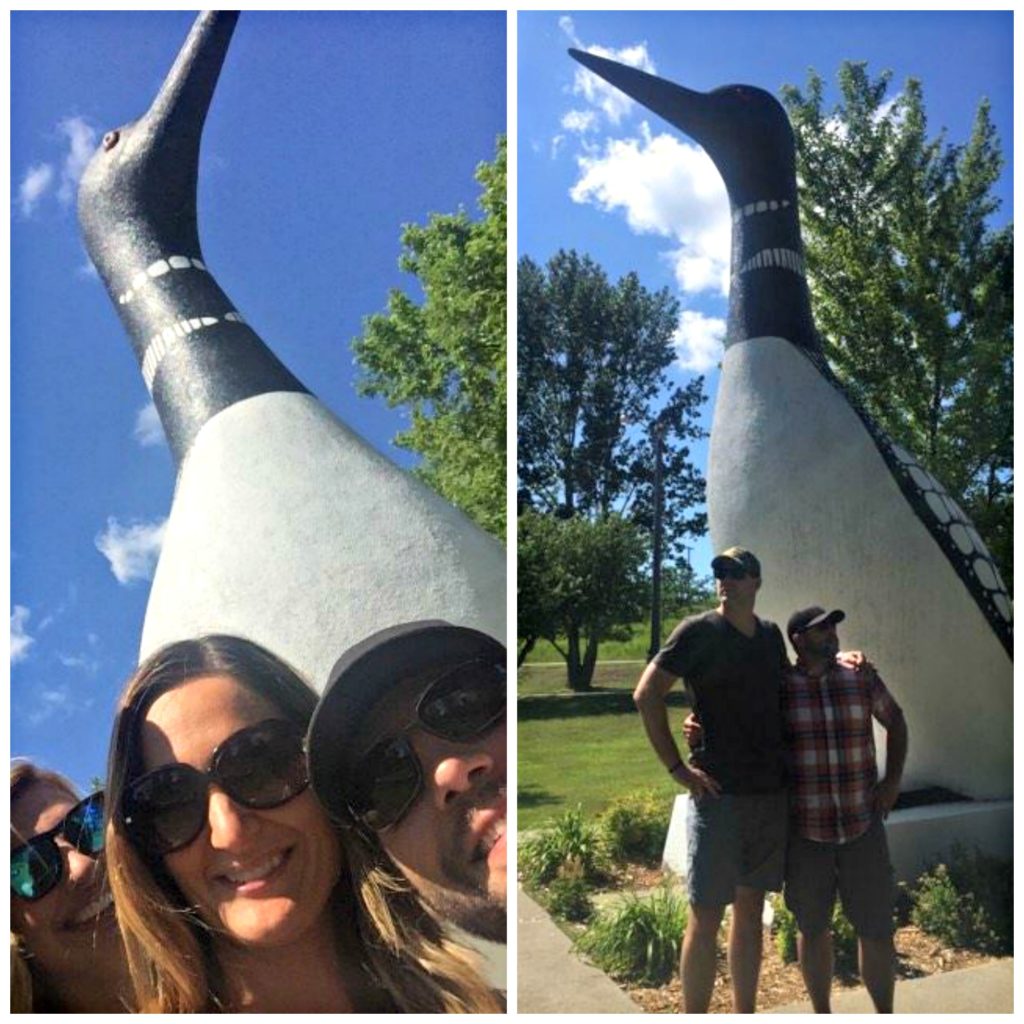 World's Largest Loon - Vergas, MN - Memorable Monuments